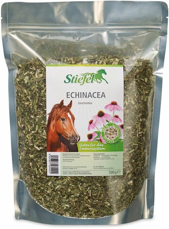 Stiefel Echinacea, Cut 1 Stiefel Echinacea, Cut