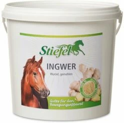 Stiefel Ginger, Ground