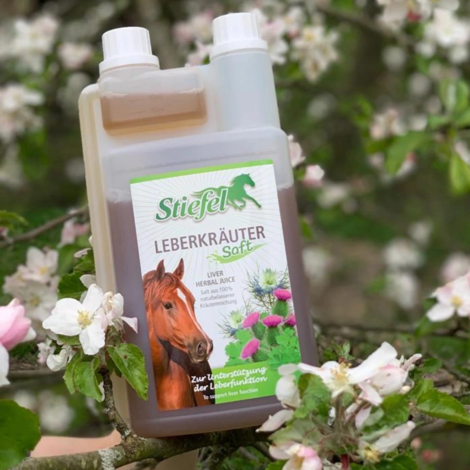Stiefel Liver Herbal Juice 2 Stiefel Liver Herbal Juice - Image 2