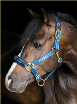 Stübben Reflective Stable Halter