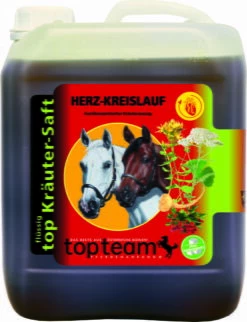 Topteam Top Cardiovascular Herbal Juice